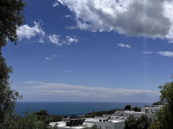 Terreno en calle Araucaria