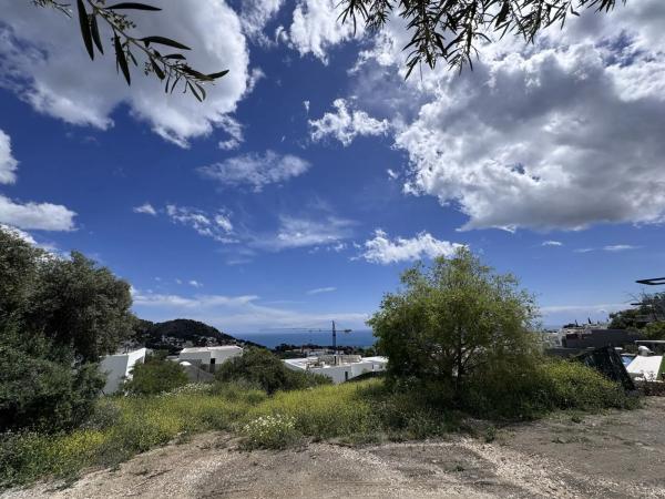 Terreno en calle Araucaria