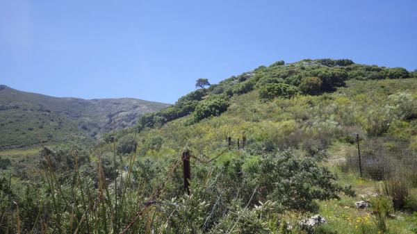 Terreno en Partidas sur