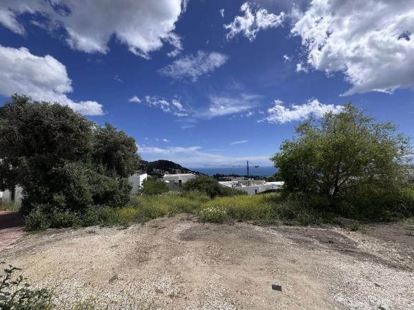 Terreno en calle Araucaria