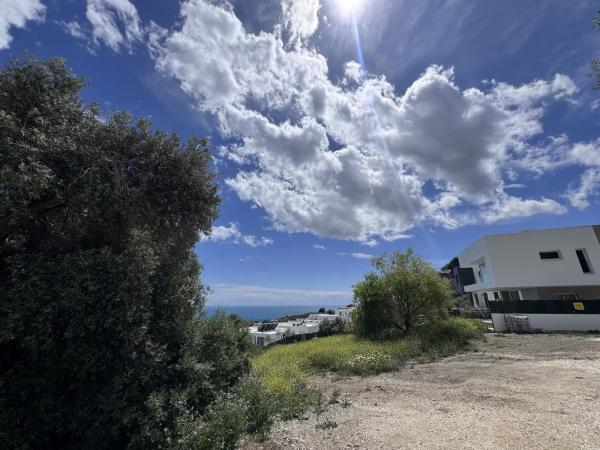 Terreno en calle Araucaria