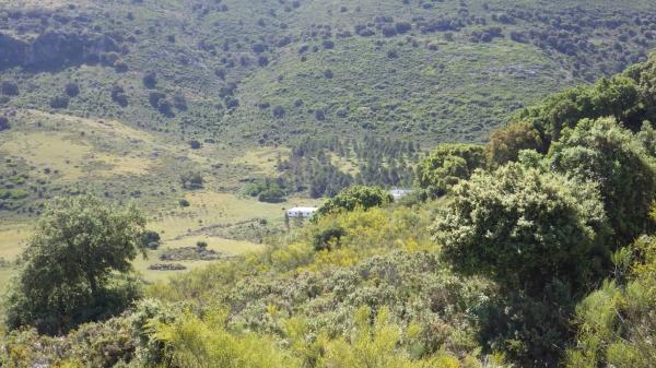 Terreno en Partidas sur