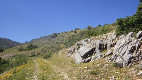 Terreno en Partidas sur