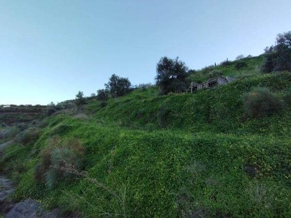 Terreno en Diseminado la Pago Rabita