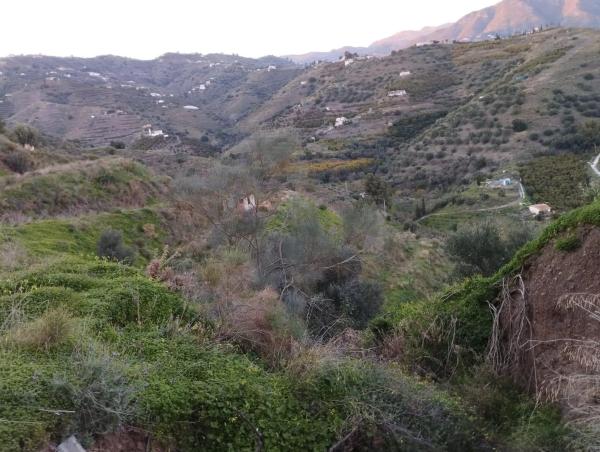 Terreno en Diseminado la Pago Rabita