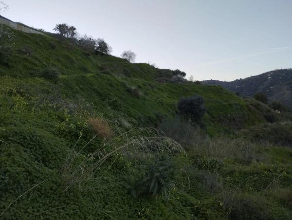 Terreno en Diseminado la Pago Rabita