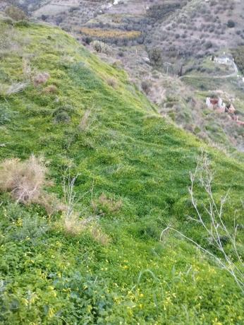 Terreno en Diseminado la Pago Rabita