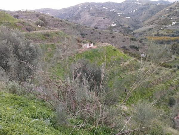 Terreno en Diseminado la Pago Rabita