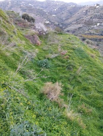 Terreno en Diseminado la Pago Rabita