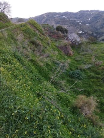 Terreno en Diseminado la Pago Rabita