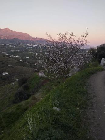 Terreno en Diseminado la Pago Rabita