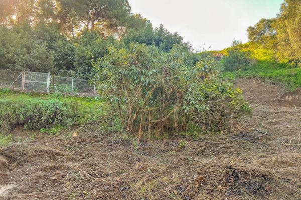 Terreno en camino Puerto Romano s/n