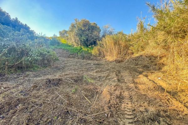 Terreno en camino Puerto Romano s/n