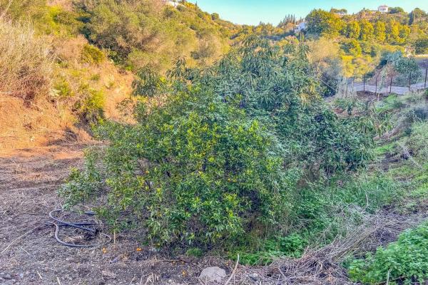 Terreno en camino Puerto Romano s/n