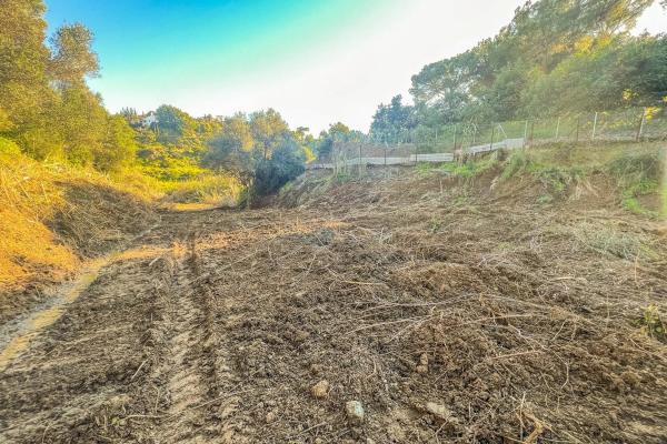 Terreno en camino Puerto Romano s/n