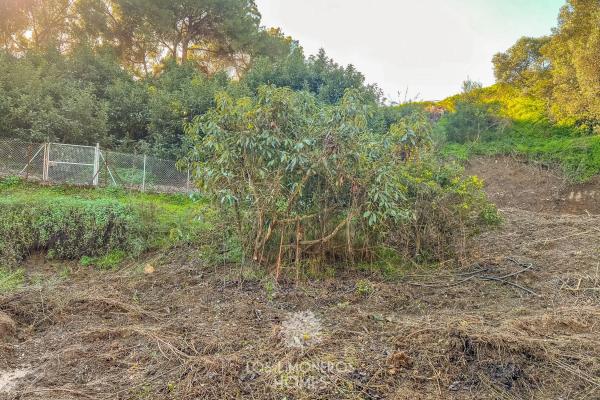 Terreno en camino Puerto Romano s/n