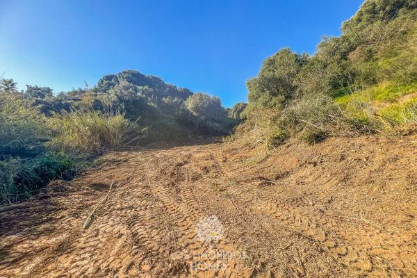 Terreno en camino Puerto Romano s/n