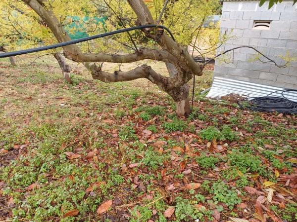 Terreno en Zona Hispanidad-Vivar Téllez