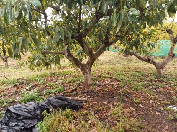 Terreno en Zona Hispanidad-Vivar Téllez