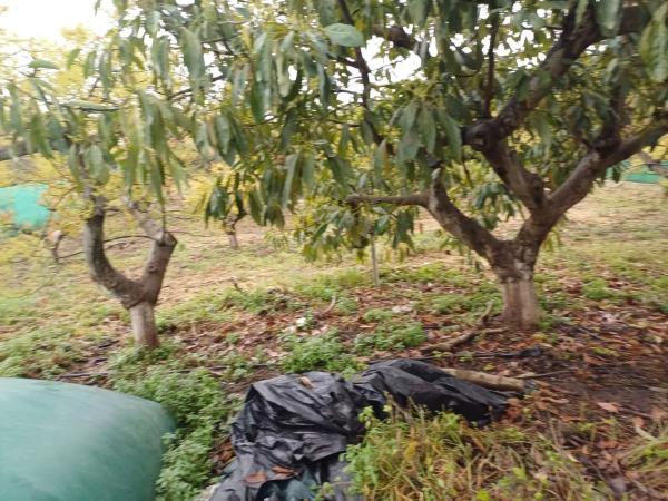 Terreno en Zona Hispanidad-Vivar Téllez
