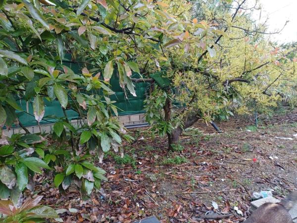 Terreno en Zona Hispanidad-Vivar Téllez