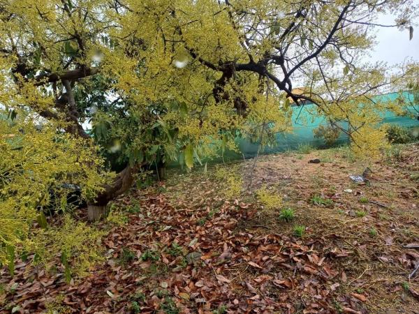 Terreno en Zona Hispanidad-Vivar Téllez