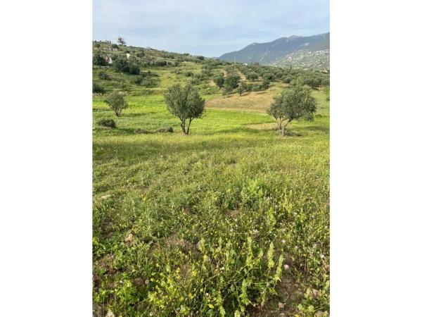 Terreno en Alcaucín