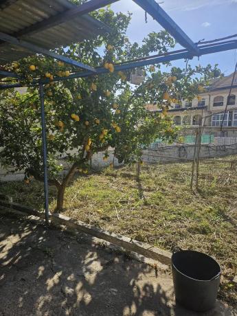 Terreno en calle los Almendros
