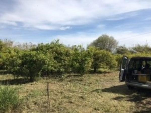 Terreno en camino Huertas Bajas, 52