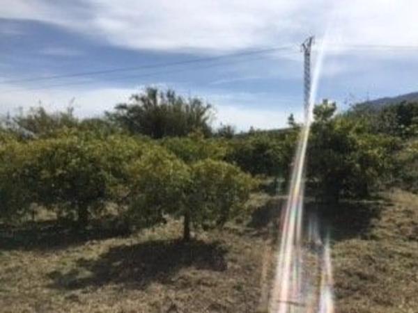 Terreno en camino Huertas Bajas, 52