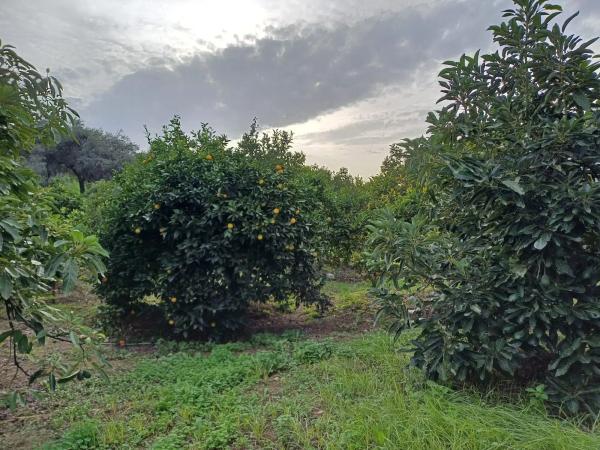 Terreno en Centro s/n