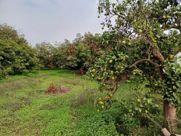 Terreno en Centro s/n