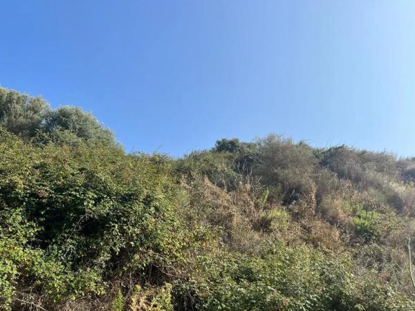 Terreno en Barrio Sitio de Calahonda