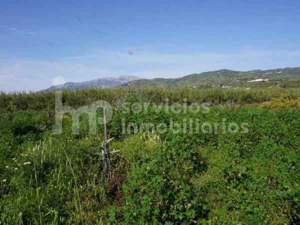 Terreno en Norte - Barrio del Pilar - El Reñidero