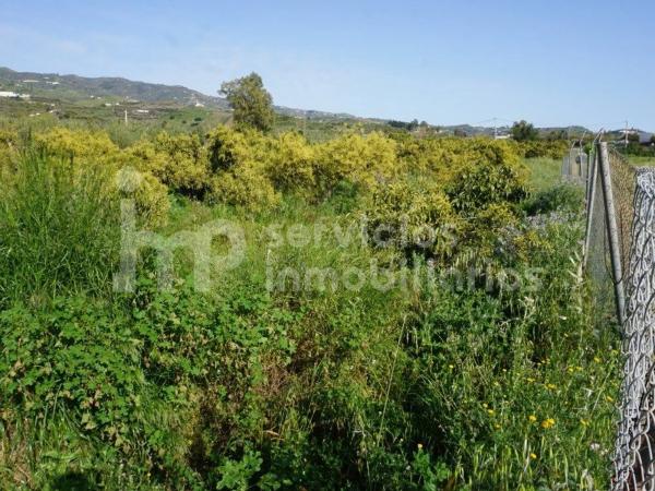 Terreno en Norte - Barrio del Pilar - El Reñidero