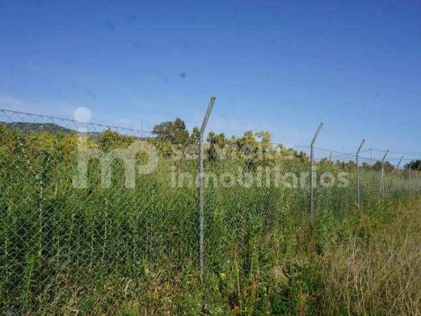 Terreno en Norte - Barrio del Pilar - El Reñidero