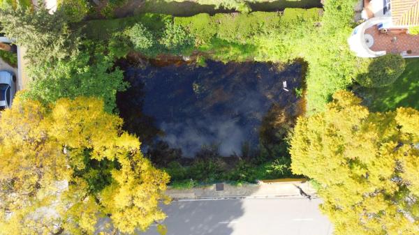 Terreno en calle los Jazmines