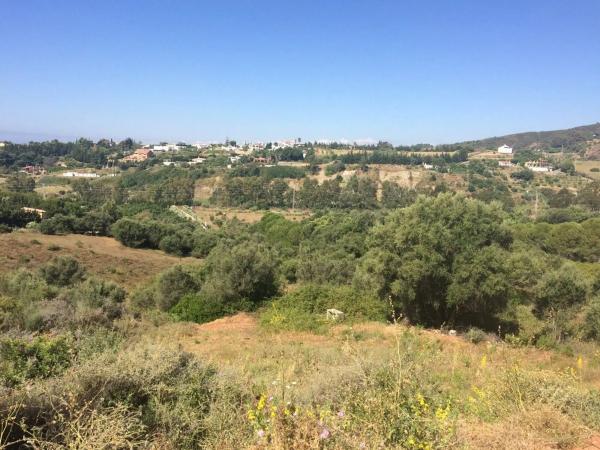 Terreno en calle del Alcornoque