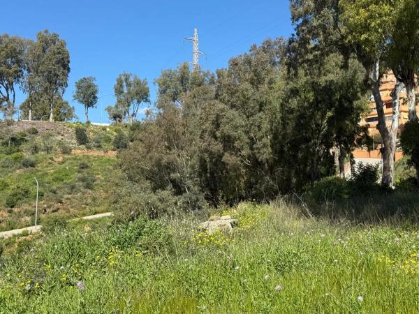 Terreno en calle Melilla, 21