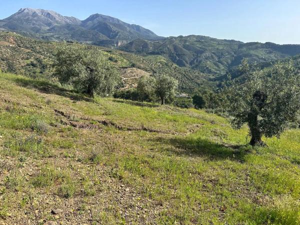 Terreno en Cara De Los Cerbos, 4