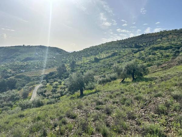 Terreno en Cara De Los Cerbos, 4