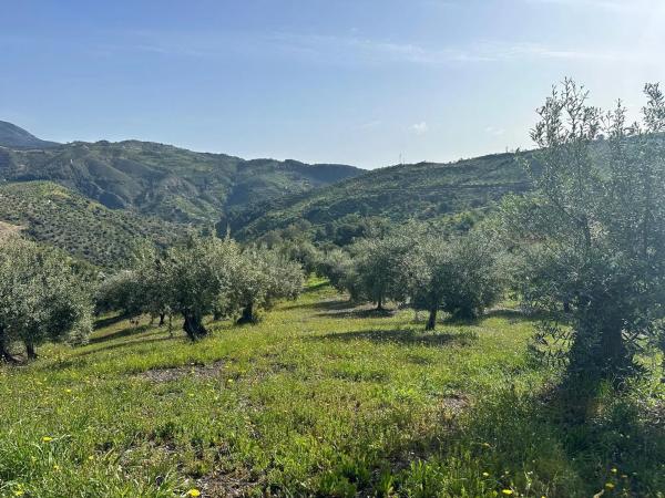 Terreno en Cara De Los Cerbos, 4