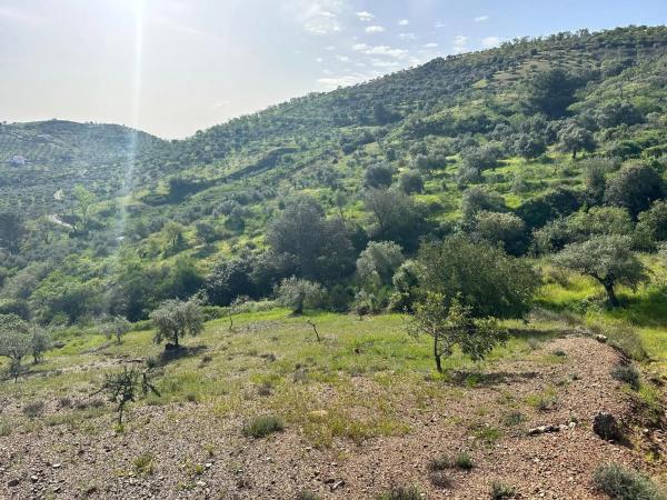 Terreno en Cara De Los Cerbos, 4