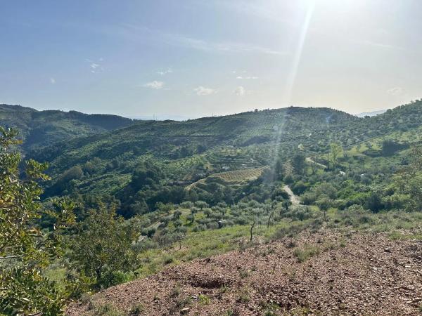 Terreno en Cara De Los Cerbos, 4