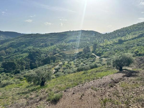 Terreno en Cara De Los Cerbos, 4