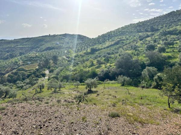 Terreno en Cara De Los Cerbos, 4