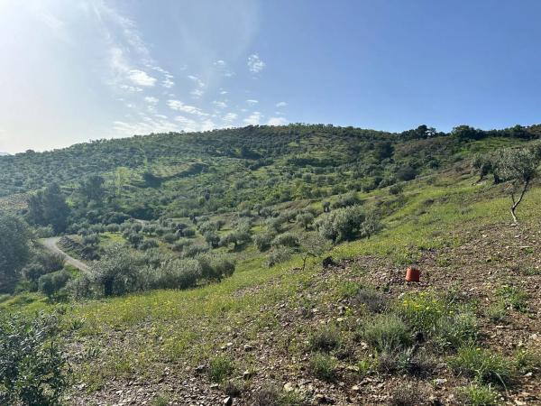 Terreno en Cara De Los Cerbos, 4