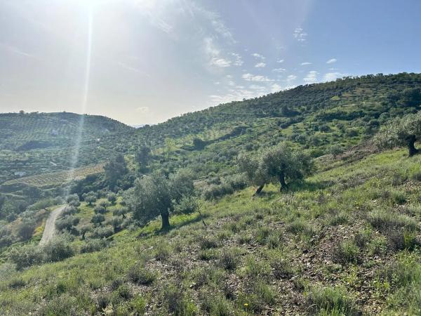 Terreno en Cara De Los Cerbos, 4