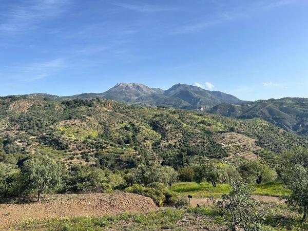 Terreno en Cara De Los Cerbos, 4
