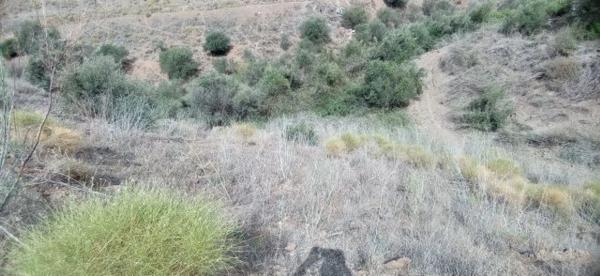 Terreno en El Morche